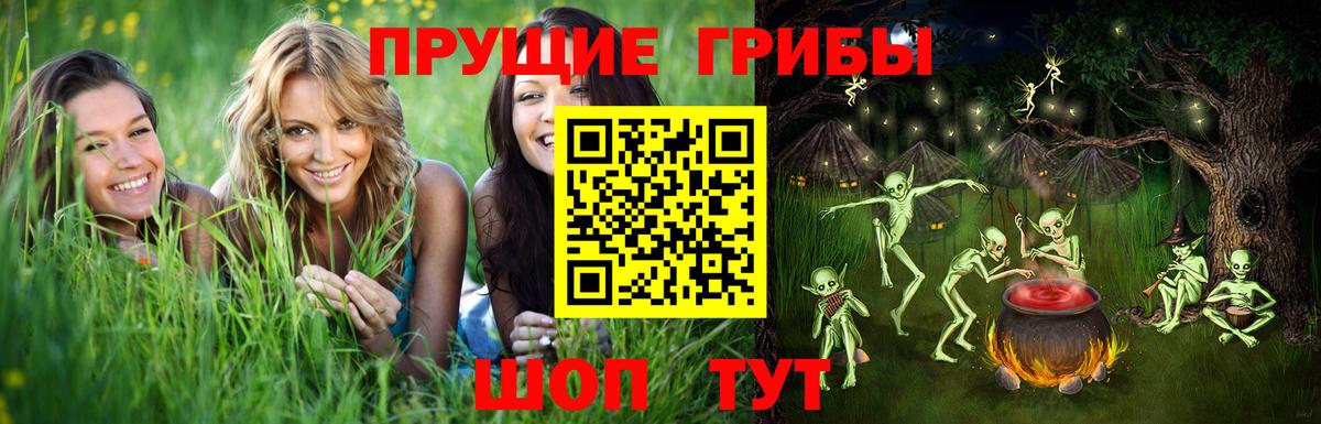 Галлюциногенные грибы Magic Shrooms Междуреченск